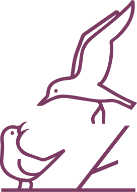 BackBay School logo